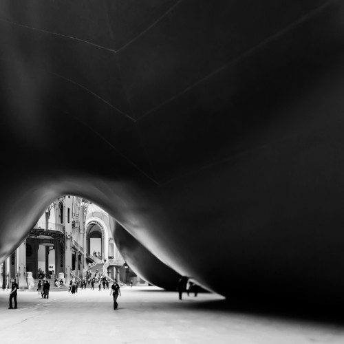 8 franck bohbot monumenta