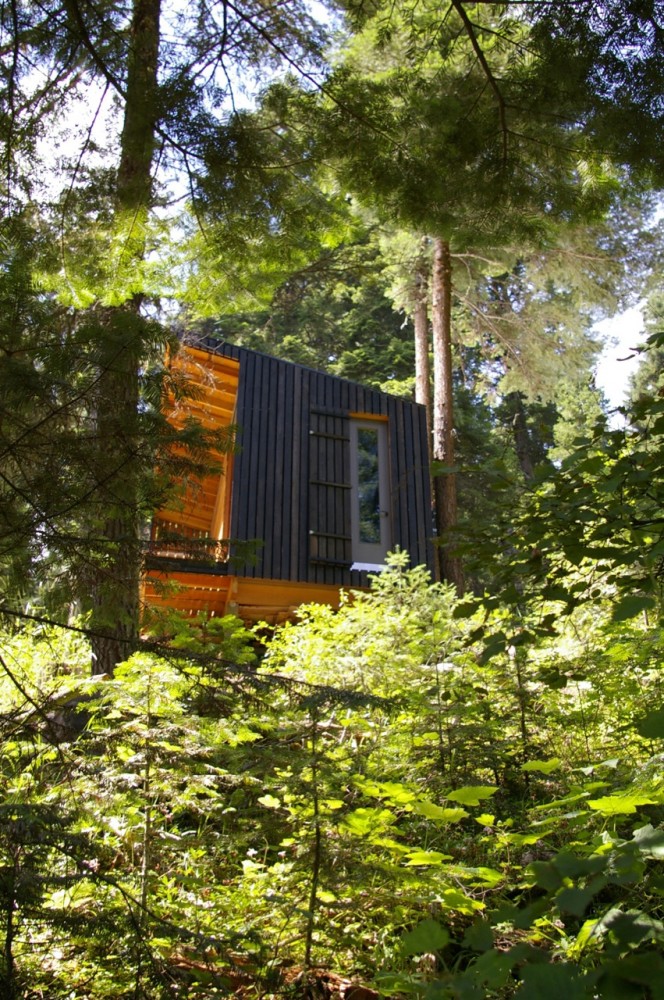 Signal Shed / Ryan Lingard Design