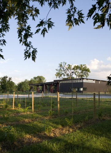 Jasper Winery / substance