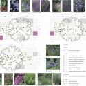 Landscape Design Landscape Design Landscape Design