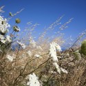 Landscapes of Cohabitation / doxiadis+