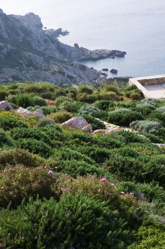Landscapes of Cohabitation / doxiadis+