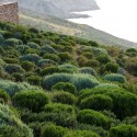 Landscapes of Cohabitation / doxiadis+ Landscapes of Cohabitation / doxiadis+ © Clive Nichols