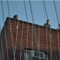 Interboro Partners "Holding Pattern" P.S.1 Installation Underway Courtesy of Interboro Partners