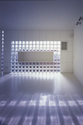 Twin Bricks / Atelier Tekuto