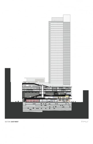 section