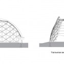 Section Section
