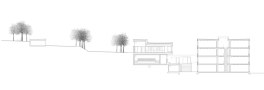 section