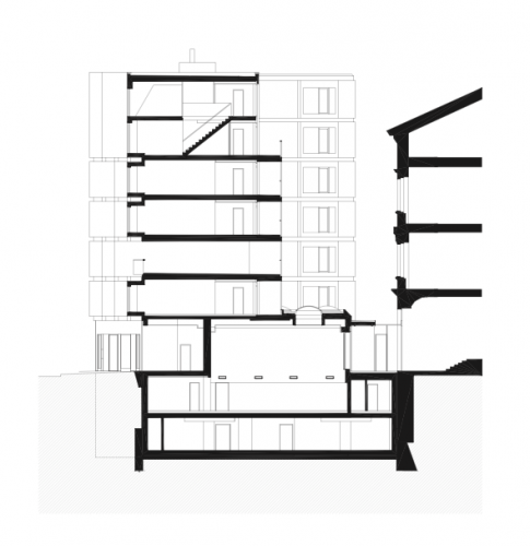 section