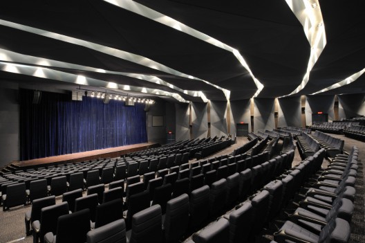 Chettinad Health City Auditorium / Morphogenesis