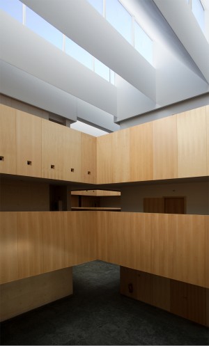 State Reference Center for Mental Care / Peñín Architects