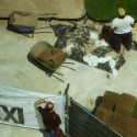In Progress: sTARTT "WHATAMI" at the MAXXI
