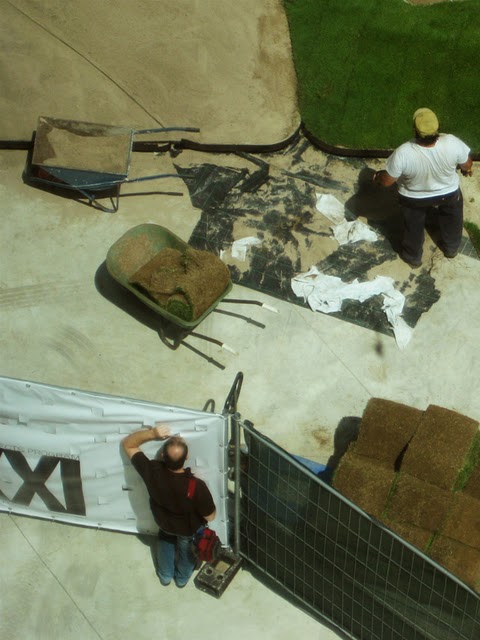 In Progress:  sTARTT “WHATAMI” at the MAXXI