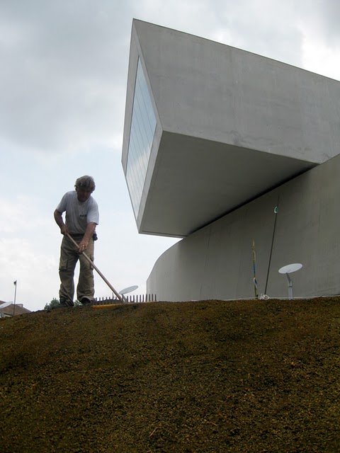 In Progress:  sTARTT “WHATAMI” at the MAXXI