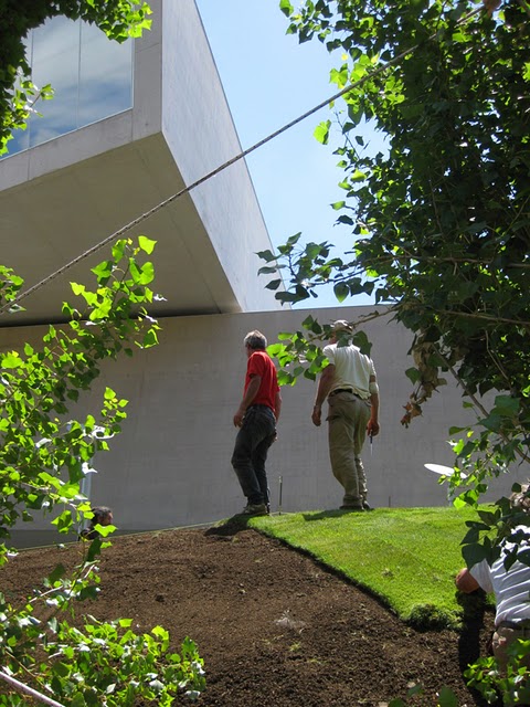 In Progress:  sTARTT “WHATAMI” at the MAXXI