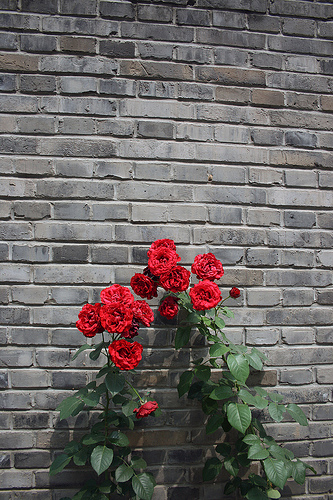 Chinese Art Archives and Warehouse4