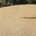 Panyaden School / 24H > architecture Panyaden School / 24H > architecture © Ally Taylor