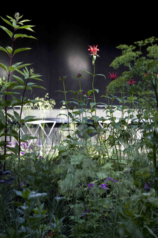 Serpentine Gallery Pavilion 2011 / Peter Zumthor
