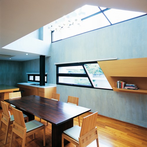 Equilibrium House / VaSLab Architecture