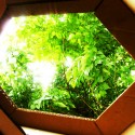 Hexigloo Pavilion / Tudor Cosmatu, Irina Bogdan, Andrei Radacanu © Courtesy of Bence Pap
