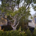 Venice House / Daly Genik Architects Venice House / Daly Genik Architects © Benny Chan/Fotoworks