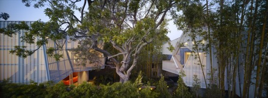 Venice House / Daly Genik Architects