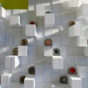 Opus Shop / Paradox Studio