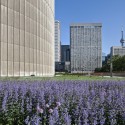 NPS Podium Roof Garden / PLANT Architect