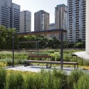 NPS Podium Roof Garden / PLANT Architect & Perkins+Will Canada NPS Podium Roof Garden / PLANT Architect & Perkins+Will Canada © Steven Evans