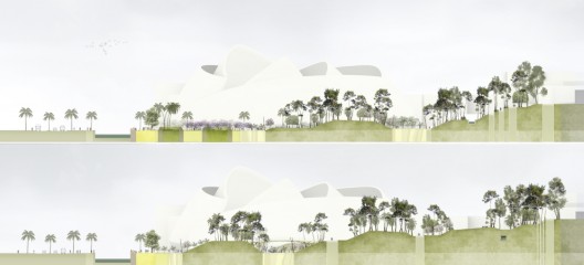 cross-section