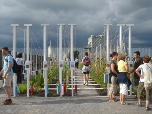Boustrophedon Garden / PLANT Architect