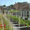 © Mary Tremain, Jessica Craig/PLANT Architect
