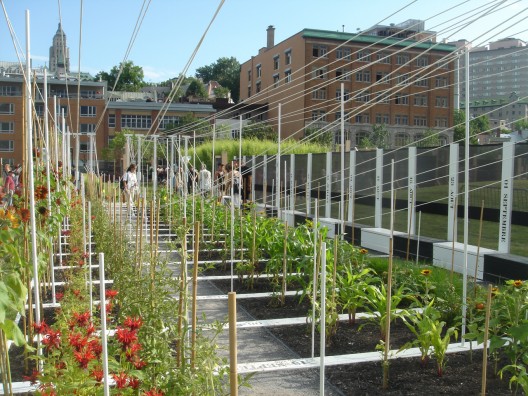 Boustrophedon Garden / PLANT Architect