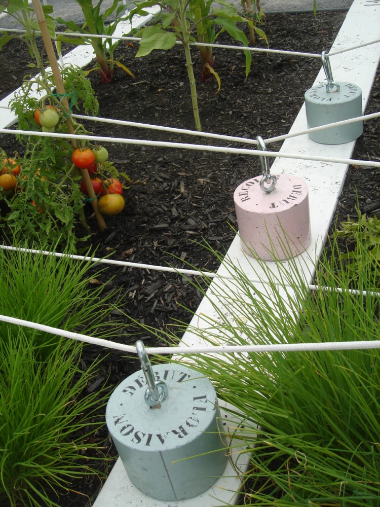 Boustrophedon Garden / PLANT Architect