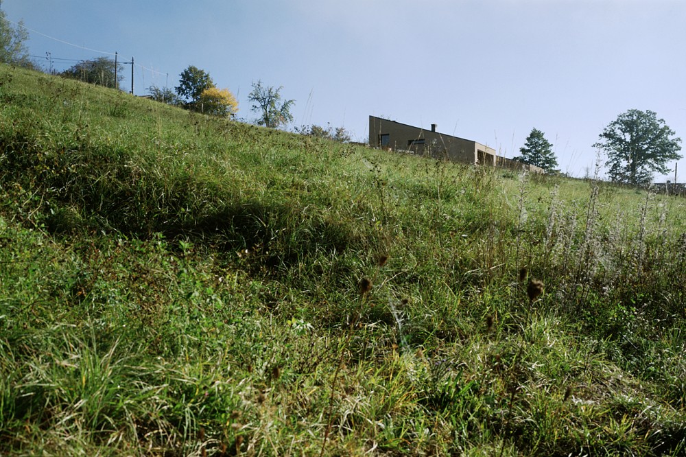 Single Family House / Lucio Serpagli