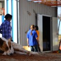Early Childhood Learning Centre / University of Melbourne Early Childhood Learning Centre / University of Melbourne © Jim Stewart