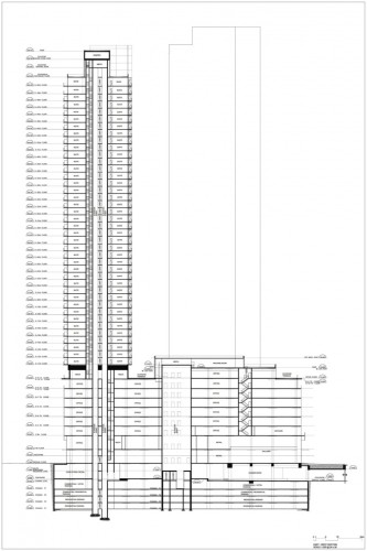 section