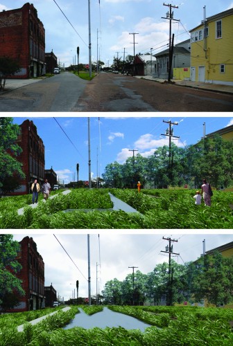 Dutch Dialogue 2 - Hoffman Triangle Water Storage Streetscape