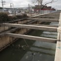 Existing open culvert in the Lafitte Greenway