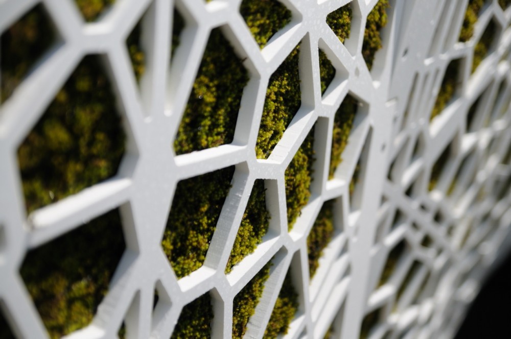 Surface Deep Garden / asensio_mah