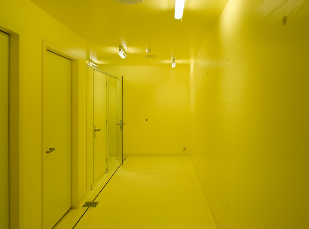 Therapeutic Pool / meier + associés architectes