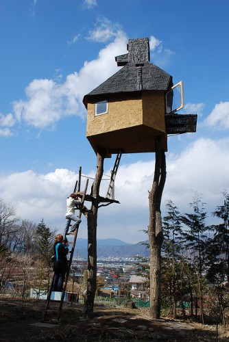 The Evolution of the Japanese Tea House