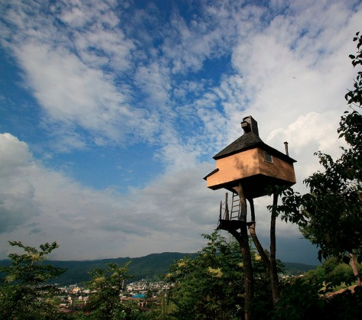 The Evolution of the Japanese Tea House