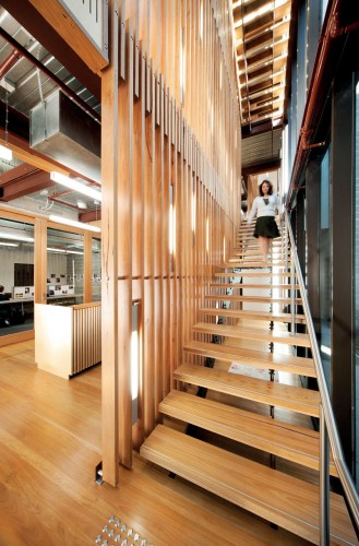 Youth Mental Health Building, Brain and Mind Research Institute / BVN Architecture