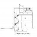 Longitudinal Section Longitudinal Section