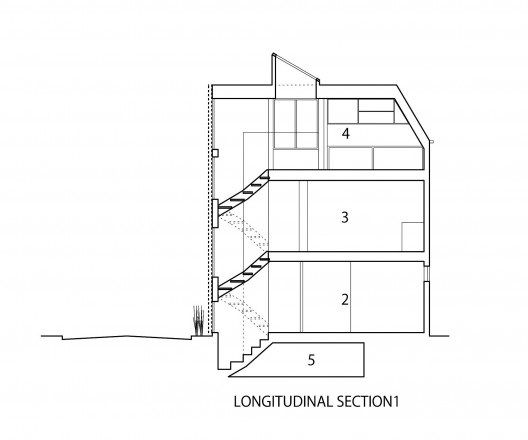 Longitudinal Section