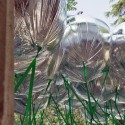 Instant Untitled / MOS (5) © David Fenster / MOS