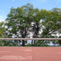 Oaxaca House and Studio / Taller de Arquitectura-Mauricio Rocha (5)