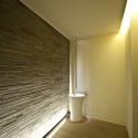 Tex-Tonic House 1 / Paul McAneary Architects (2)