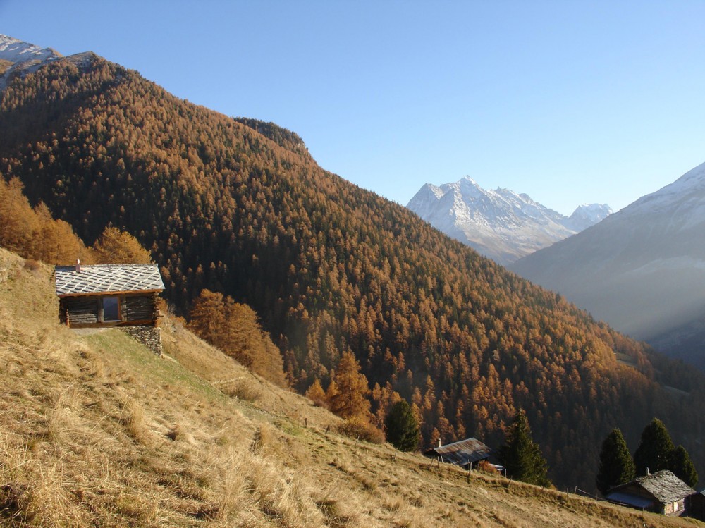 Shelter in the Swiss Alps / Personeni Raffaele Schärer Architectes